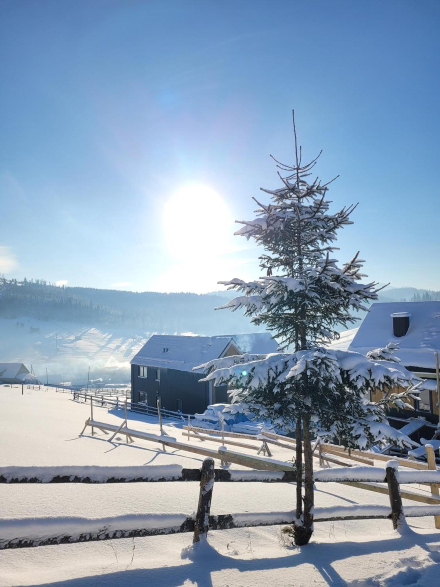 Шале Green Land Bukovel Dış mekan fotoğraf