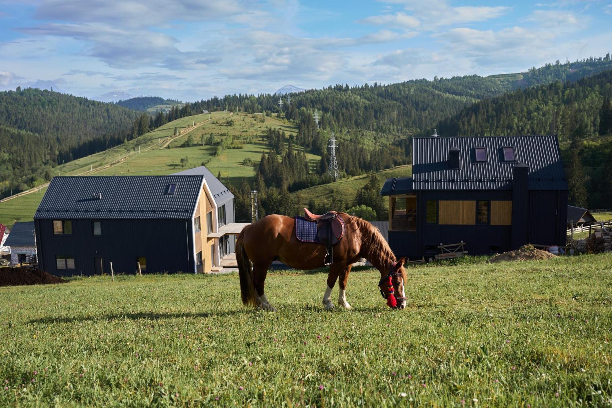 Шале Green Land Bukovel Dış mekan fotoğraf