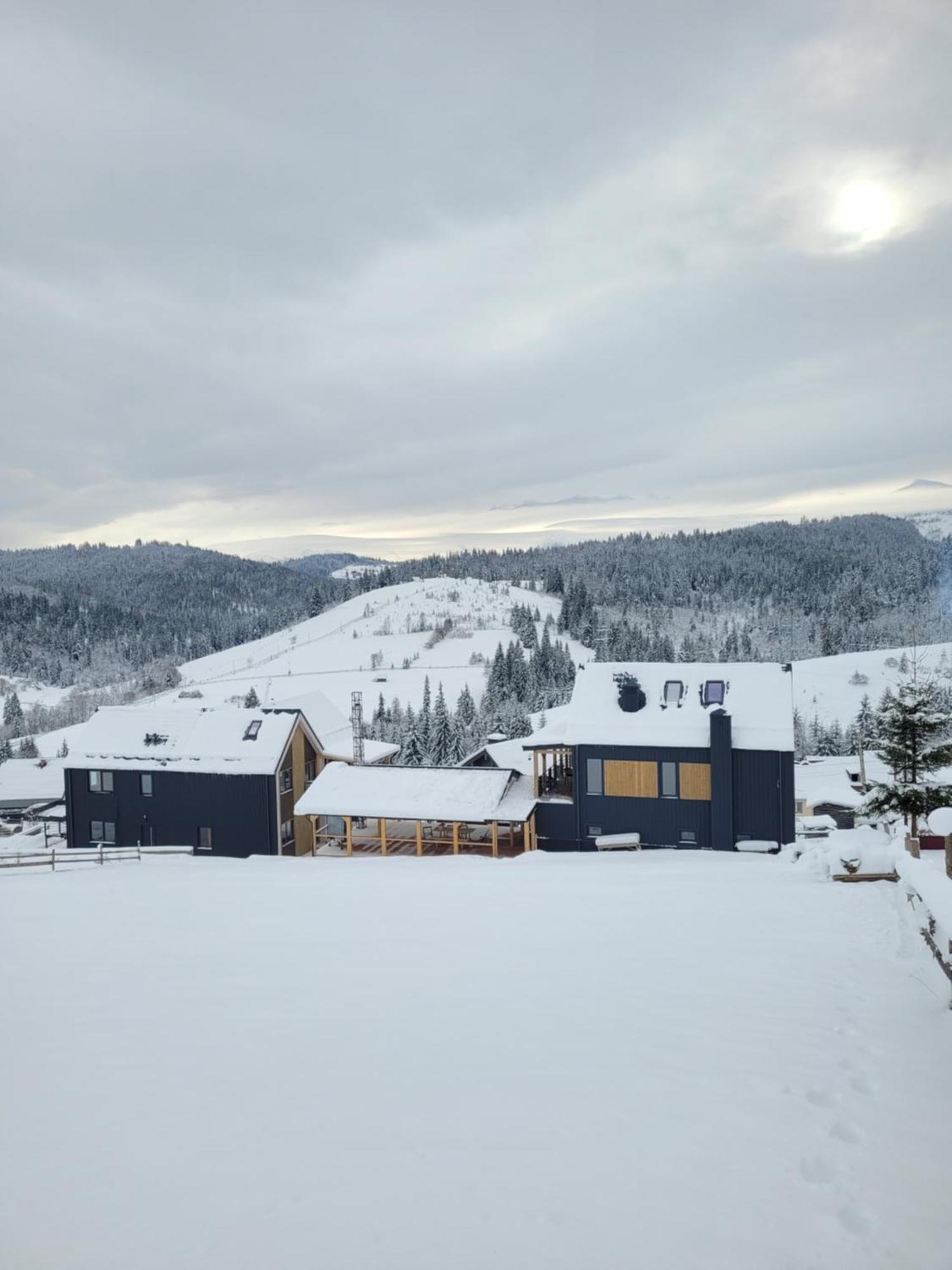 Шале Green Land Bukovel Dış mekan fotoğraf