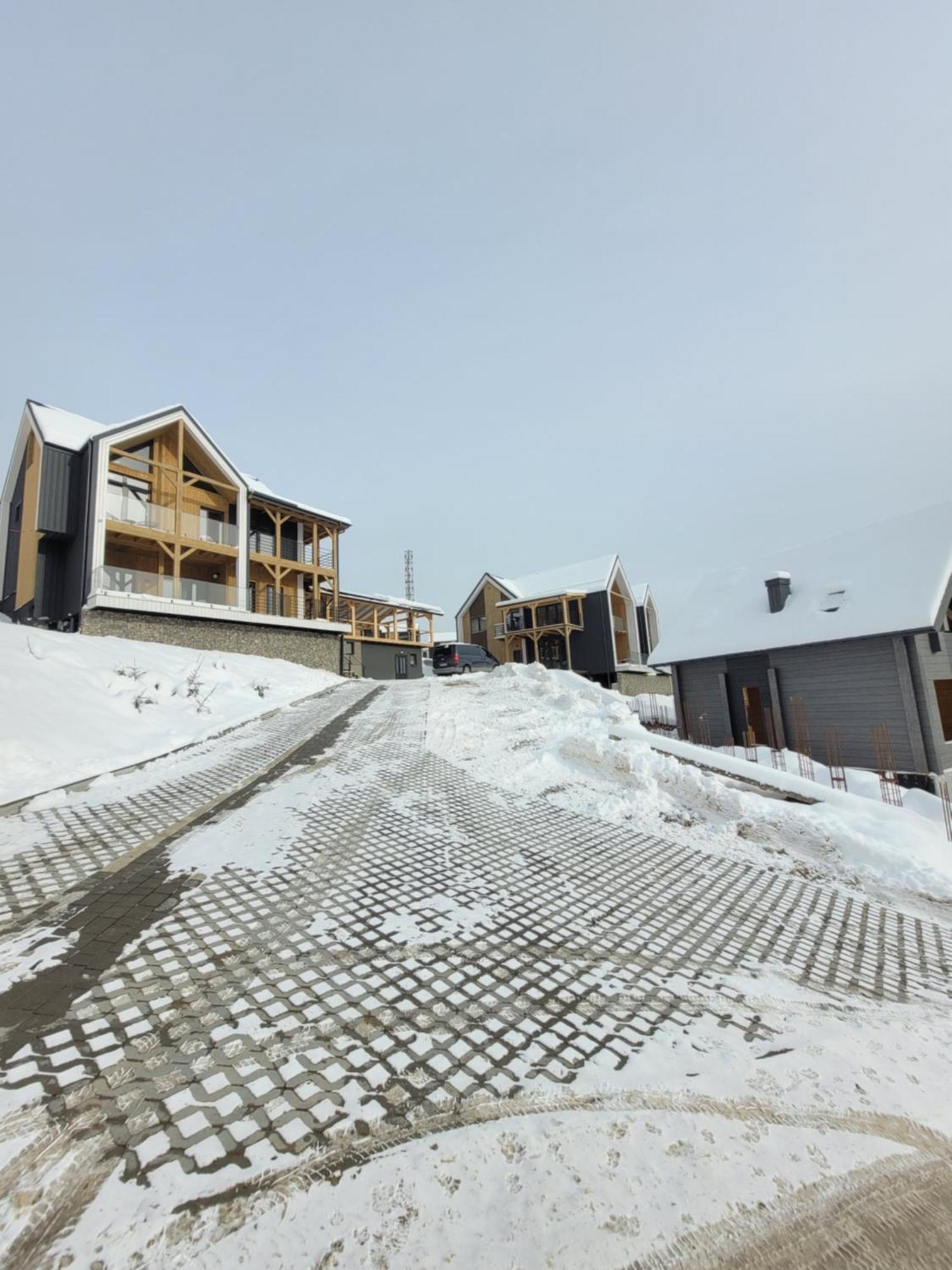 Шале Green Land Bukovel Dış mekan fotoğraf