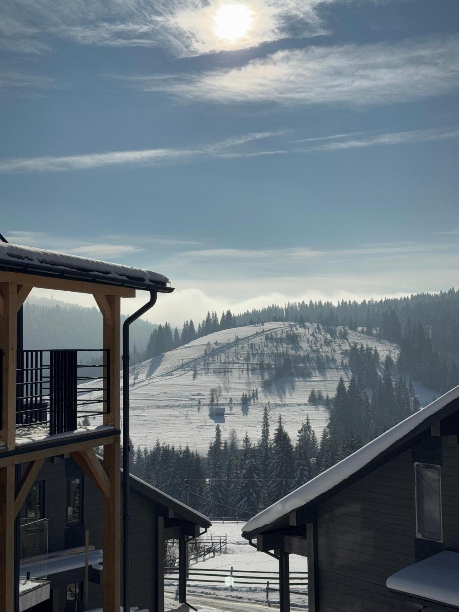 Шале Green Land Bukovel Dış mekan fotoğraf